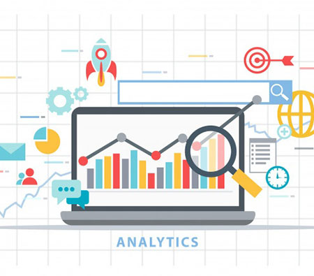 Analytics & Reports